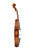 Professional Francesco Rugeri Antique Violin 4/4  #113