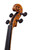 Professional Francesco Rugeri Antique Violin 4/4  #113