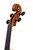 Professional Francesco Rugeri Two Pieces Back Violin 4/4  #114