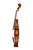Professional Francesco Rugeri Two Pieces Back Violin 4/4  #114