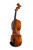 Professional Francesco Rugeri Two Pieces Back Violin 4/4  #114