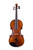 Professional Francesco Rugeri Two Pieces Back Violin 4/4  #114