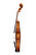 Professional Francesco Rugeri Two Pieces Back Violin 4/4  #115