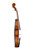 Professional Francesco Rugeri Two Pieces Back Violin 4/4  #115