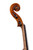 Professional Francesco Rugeri Two Pieces Back Violin 4/4  #115