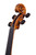 Professional Francesco Rugeri Two Pieces Back Violin 4/4  #115