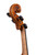 Professional Francesco Rugeri Two Pieces Back Violin 4/4  #115