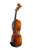 Professional Francesco Rugeri Two Pieces Back Violin 4/4  #115