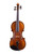 Professional Francesco Rugeri Two Pieces Back Violin 4/4  #115