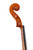 Professional Viola 16' (41 cm) One Piece Back #31