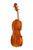 Professional Viola 16' (41 cm) One Piece Back #31