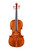 Professional Viola 16' (41 cm) One Piece Back #31