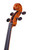 Professional Level J.B. Vuillaume Cello 4/4 #125