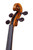 Professional Stradivari Antique Violin 4/4  #117