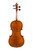 Professional Stradivari Antique Violin 4/4  #117