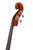 Ceruti Double Bass 3/4 Antique Style #25