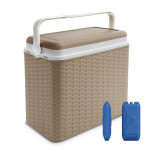 24L Rattan Design Cooler Lunch Box with 2 Ice Packs