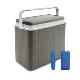 24L Rattan Design Cooler Lunch Box with 2 Ice Packs