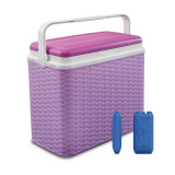 24L Rattan Design Cooler Lunch Box with 2 Ice Packs