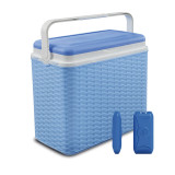24L Rattan Design Cooler Lunch Box with 2 Ice Packs