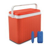 24L Rattan Design Cooler Lunch Box with 2 Ice Packs