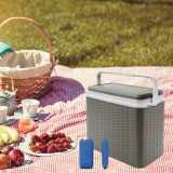 24L Rattan Design Cooler Lunch Box with 2 Ice Packs