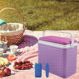 24L Rattan Design Cooler Lunch Box with 2 Ice Packs