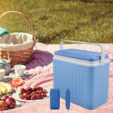 24L Rattan Design Cooler Lunch Box with 2 Ice Packs