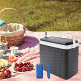 24L Rattan Design Cooler Lunch Box with 2 Ice Packs