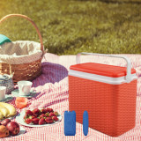 24L Rattan Design Cooler Lunch Box with 2 Ice Packs
