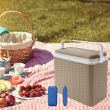 24L Rattan Design Cooler Lunch Box with 2 Ice Packs