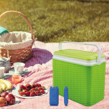 24L Rattan Design Cooler Lunch Box with 2 Ice Packs