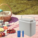 24L Rattan Design Cooler Lunch Box with 2 Ice Packs