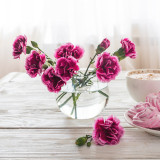 Small Round Glass Vase Fish Bowl