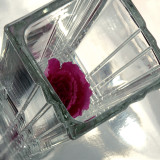 Bormioli Rocco Clear Heavy Glass Vase - Square