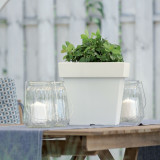 240mm Square Low Lofly Plastic Flower Plant