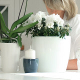 Set of 2 Coubi Small Round Flower Plant