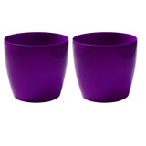 Set of 2 Coubi Small Round Flower Plant
