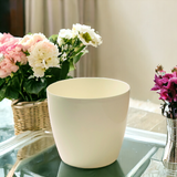 Set of 2 Coubi Small Round Flower Plant