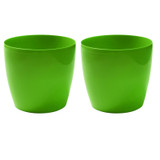 Set of 2 Coubi Small Round Flower Plant