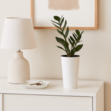 White Tubus Slim Plant Pot 15cm White Tubus Slim Plant Pot 15cm