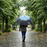 68.5cm Assorted Double Canopy Golf Umbrella