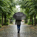 68.5cm Assorted Double Canopy Golf Umbrella