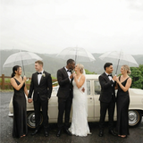 23 Inch Transparent Wedding Umbrella