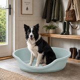 Hard Plastic Dog Cat Pet Puppy Bed