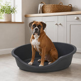 Hard Plastic Dog Cat Pet Puppy Bed