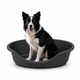 Hard Plastic Dog Cat Pet Puppy Bed