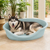 Hard Plastic Dog Cat Pet Puppy Bed