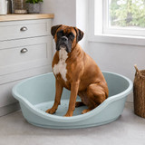 Hard Plastic Dog Cat Pet Puppy Bed