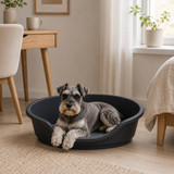 Hard Plastic Dog Cat Pet Puppy Bed